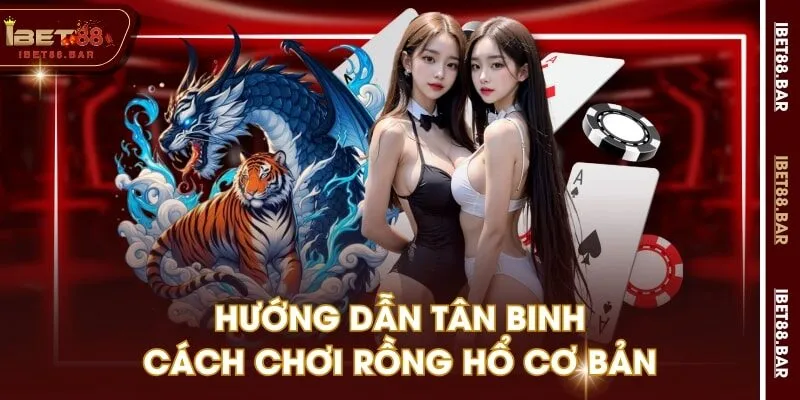 Hướng dẫn tân binh cách chơi Rồng Hổ cơ bản