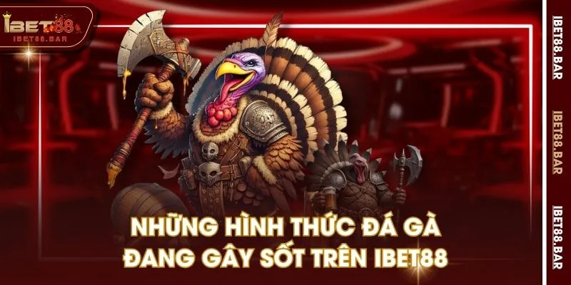 Những hình thức đá gà đang gây sốt trên IBET88