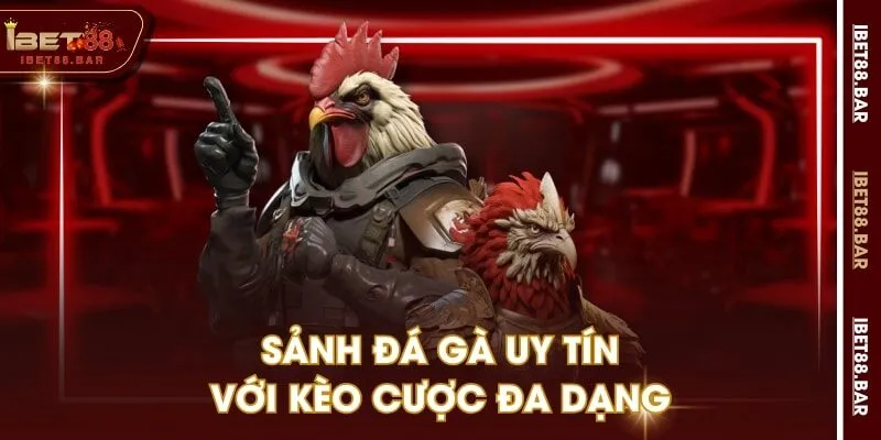 Sảnh đá gà uy tín với kèo cược đa dạng